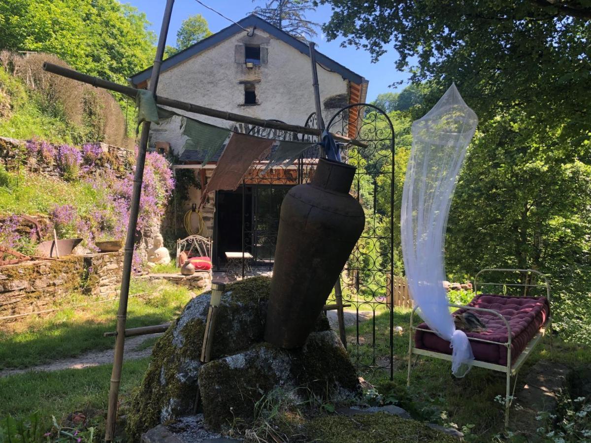 Gite Terra Bosca Cambounès Kültér fotó