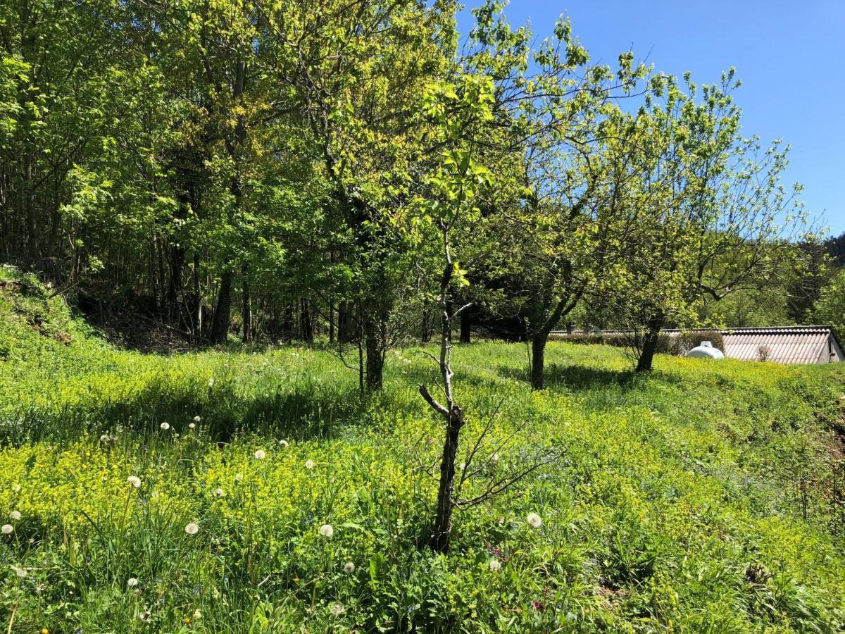 Gite Terra Bosca Cambounès Kültér fotó